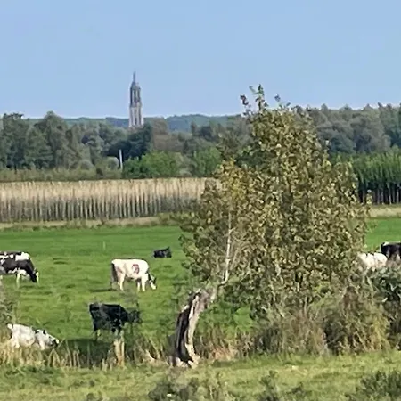 Ferienhaus Pipowagen Mamaloe