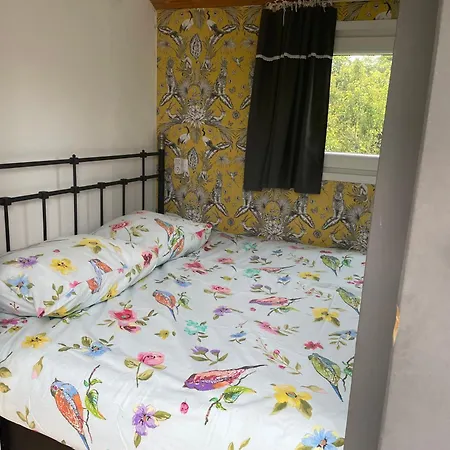 Bed & Breakfast Pipowagen Mamaloe *