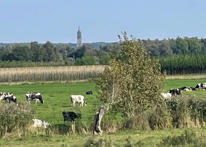 Ferienhaus Pipowagen Mamaloe