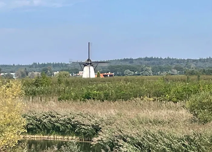 Pipowagen Mamaloe Ferienhaus *